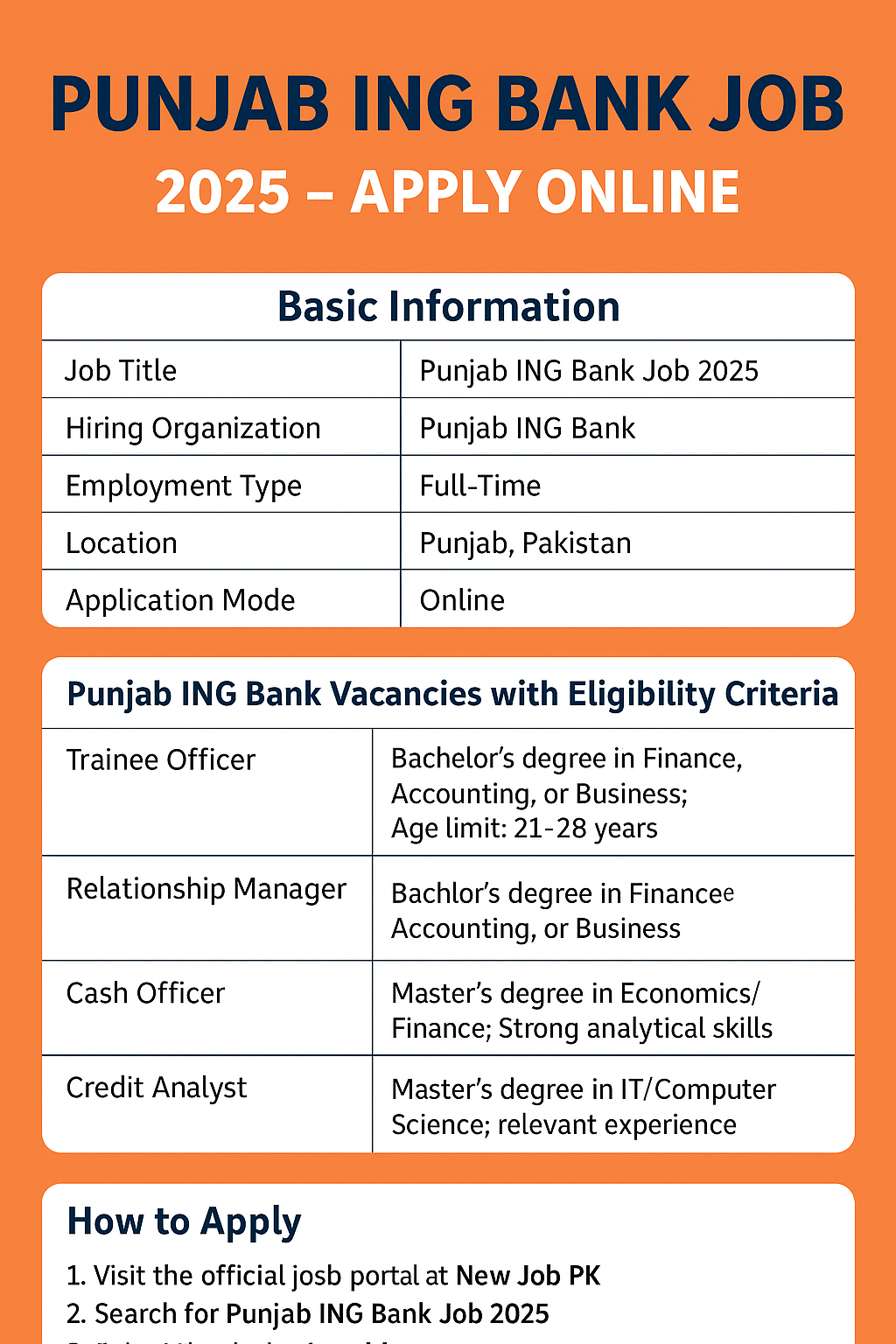 Punjab ING Bank Job